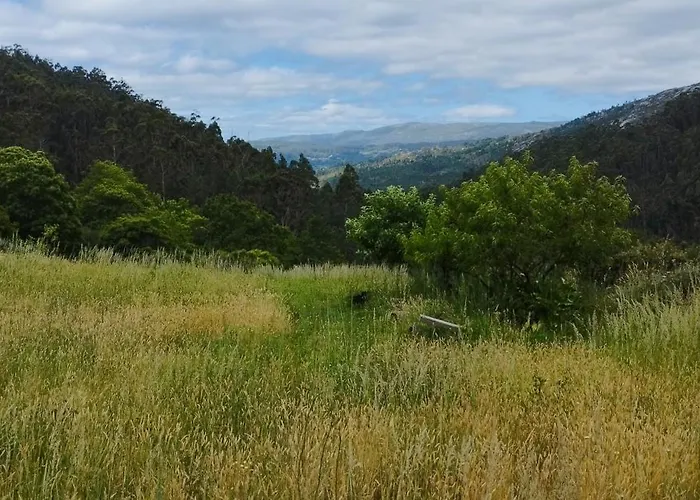 Casa Rural & Parrillada Miguel